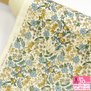 yoeBEt@ubNXzt_[Xl Serruria/ZA 24-363J4224 l  100% ԕ ynEzz 3(30cm)10cmP 8636