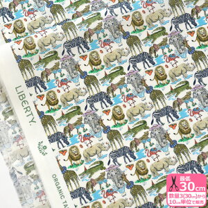 yoeBEt@ubNXzPool Party/v[Ep[eB 25-157J74911 I[KjbN^i[   oeBynEzz 3(30cm)10cmP 7665