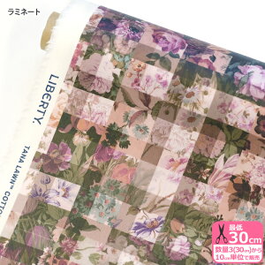 y}\̓|Cg2{zyoeBEt@ubNXz~l[g Archive Gingham/A[JCuEMK 25-3635213 25CU A[JCuMK ԕ ~l[gn rjR rj[R[eB