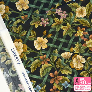 yoeBEt@ubNXzBotanical Knot/{^jJEmbg 25-3635241 25AU ԕ y^i[EnEzz 3(30cm)10cmP 9815