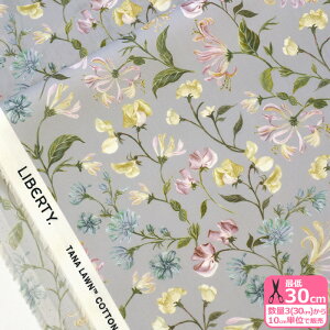 y}\̓|Cg3{zyoeBEt@ubNXzAsaka Dream/ATJEh[ 25-363J75905 25BU ԕ  t[ O[ y^i[EnEzz 3(30cm)10cmP 6316