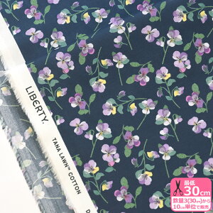 yoeBEt@ubNXzPansy Scatter/pW[EXLb^[ 25-363J75909 25BU ԕ  t[ pW[  y^i[EnEzz 3(30cm)10cmP 6316