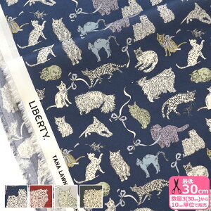 y}\̓|Cg3{zyoeBEt@ubNXzKoh & Eito/R[EAhEGCg 25-363J75911 25AU 25BU 25CU 25DU L lR L lRy^i[EnEzz 3(30cm)10cmP 6316