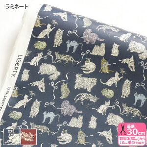 y}\̓|Cg3{zyoeBEt@ubNXz~l[g Koh & Eito/R[EAhEGCg 25-363J75911 25AU 25BU L lR L lR rjR rj[R[eBOynEzz 