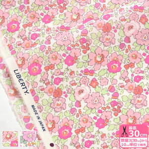 y}\̓|Cg3{zyoeBEt@ubNXzBetsy/xbcB H 3332019GN J25A J25D ԕ lIXvbV u y^i[EnEzz 3(30cm)10cmP 5418