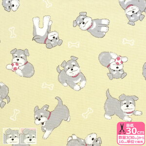 yubNtCf[̓|Cg5{z{[ƃRiIbNXj ~j`AViEU[ ~jVi ݃J[  Ck  ynEzzAP61908H-1 3(30cm)10cmP