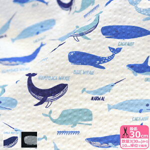 y_tf[̓|Cg10{zyC͒j̃}zNW}ӁibvNXj bvn  NW C } V` ĕ \[CO bv  n qynEzzB8