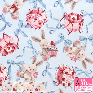 yNVJ_zrbg{iIbNXj  ETM rbg {  oGRA P[L 킢 ߂ynEzzCMOF-81 3(30cm)10cmP