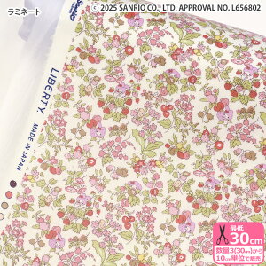 y}\̓|Cg3{zyoeBEt@ubNXz~l[g Nancy's Orchard/iV[YEI[`[h DC30715 }CfB ԕy^i[EnEzz 3(30cm)10cmP 5678
