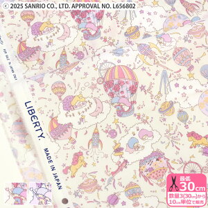 y_tf[̓|Cg10{zyoeBEt@ubNXzSky High Stars/XJCEnCEX^[Y DC30739 gcCX^[Y Cy^i[EnEzz 3(30cm)10cmP 5678