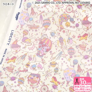 yoeBEt@ubNXz~l[g Sky High Stars/XJCEnCEX^[Y DC30739 gcCX^[Y Cy^i[EnEzz 3(30cm)10cmP 5678