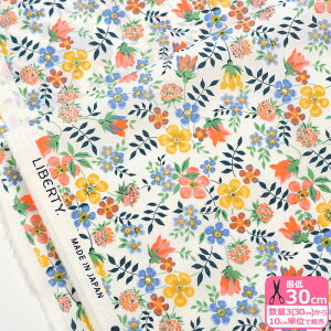 yoeBEt@ubNXzEdenham Neon/GfBiElI H DG32681G J25A ԕ lIXvbV u  y^i[EnEzz 3(30cm)10cmP 5418