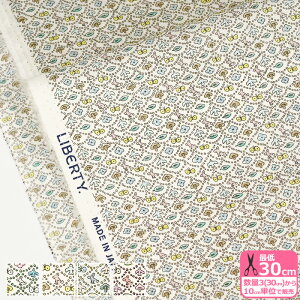 y}\̓|Cg3{zyoeBEt@ubNXzForest Wave/tHXgEF[u DC33507 WE XE YE ZE F얾 ~iyzl  y^i[EnEzz 3(30cm)10cmP 99