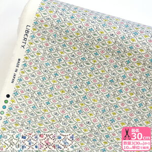 yX[p[Z[̓|Cg5{zyoeBEt@ubNXzRbgtl Forest Wave/tHXgEF[u DC33507L119 F얾 ~iyzl   Nёf tl l l