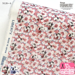 yoeBEt@ubNXz~l[g Joe Cool / W[EN[ DC34861 Xk[s[ s[ibcRNV rjR rj[R[eBOynEzz 3(30cm)10cmP 0956