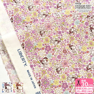 yoeBEt@ubNXzFloral Delight/t[EfCg DC34862 Xk[s[ s[ibcRNVy^i[EnEzz 3(30cm)10cmP 0956