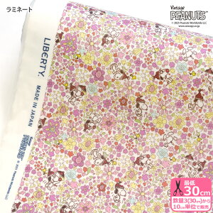 y_tf[̓|Cg10{zyoeBEt@ubNXz~l[g Floral Delight/t[EfCg DC34862 Xk[s[ s[ibcRNV rjR rj[R[eBOy