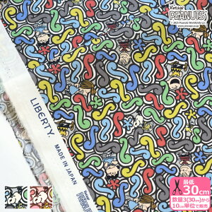 yoeBEt@ubNXzSquiggly Story/XNCO[EXg[[ DC34863 Xk[s[ s[ibcRNVy^i[EnEzz 3(30cm)10cmP 0956