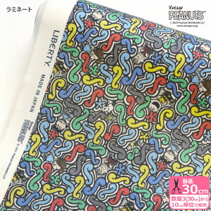 yoeBEt@ubNXz~l[g Squiggly Story/XNCO[EXg[[ DC34863 Xk[s[ s[ibcRNV rjR rj[R[eBOynEzz 3(30cm)10cmP