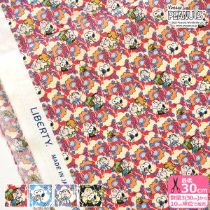 yoeBEt@ubNXzFriendship Blooms/thVbvEu[Y DC34864 Xk[s[ s[ibcRNVy^i[EnEzz 3(30cm)10cmP 0956