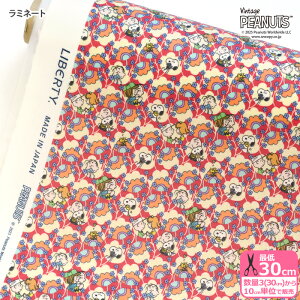 yoeBEt@ubNXz~l[g Friendship Blooms/thVbvEu[Y DC34864 Xk[s[ s[ibcRNV rjR rj[R[eBOynEzz 3(30cm)10cm