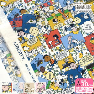 y_tf[̓|Cg10{zyoeBEt@ubNXzComic Strip Cosmos/R~bNEXgbvERXX DC34865 Xk[s[ s[ibcRNVy^i[EnEzz 3(