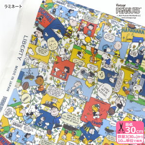 y_tf[̓|Cg10{zyoeBEt@ubNXz~l[g Comic Strip Cosmos/R~bNEXgbvERXX DC34865 Xk[s[ s[ibcRNV rjR rj[R[