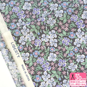 yoeBEt@ubNXzSeddon Flowers/ZhEt[Y DC34896 J25B ԕ ԕy^i[EnEzz 3(30cm)10cmP 6812