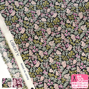 yoeBEt@ubNXzBerry Charm/x[E`[ DC34897 J25A J25C ԕ ԕy^i[EnEzz 3(30cm)10cmP 6812