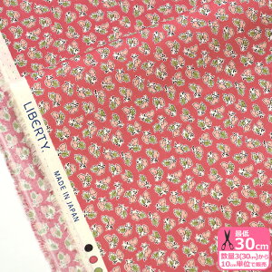 yubNtCf[̓|Cg5{zyoeBEt@ubNXzPretty Pair/veBEyA DC34900 J25A ԕ ԕy^i[EnEzz 3(30cm)10cmP 6812