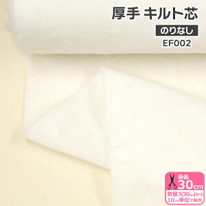 Lgc EF002 ̂Ȃ 100cm  Lgc  Lgc obO   3(30cm)10cmP