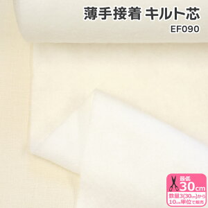 ڒLgc EF090 100cm  Lgc ڒLgc Lgc obO |[`  3(30cm)10cmP 239754