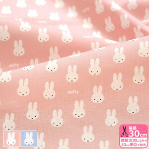 y_tf[̓|Cg10{zymiffyz~btB[tFCX X[iV[`Oj ~btB[  畿 LN^[n V[`On ynEzzG-2026-1 3(30c