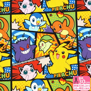 【ポケモン】ポケモンコミック柄(オックス)ピカチュウ ヒトカゲ ゲンガー ポッチャマ キャラクター生地 オックス生地 ポケモン【生地・布】G-6132-1 数量3(30cm)から10cm単位 7421