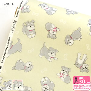 yubNtCf[̓|Cg5{z~l[g {[ƃR ~j`AViEU[ ~jVi ݃J[  Ck   rjR rj[R[eBOynEzzLAP61908-1 