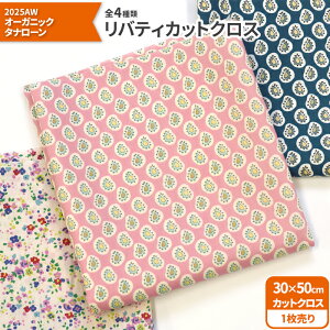 yoeBEt@ubNXzJbgNX2025AW I[KjbN^i[ vol.4 30×50cm ^i[ I[KjbNRbgynEzz8446