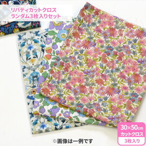 oeBJbgNX _3Zbg JbgNXZbg 30cm×50cmTCY oeB oeBvg JbgNX ^i[ ԕ  _ynEzz 11P