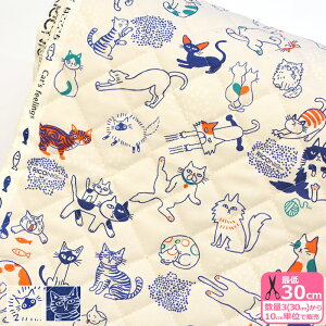 yRiconicz˂iLgj lR L lR L fW^vg Lgn LeBOn LeBOynEzzRR2038 3(30cm)10cmP 228204