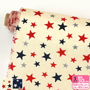 y_tf[̓|Cg10{ziCIbNX X^[  iCIbNX iCn iC HynEzzSG166 3(30cm)10cmP