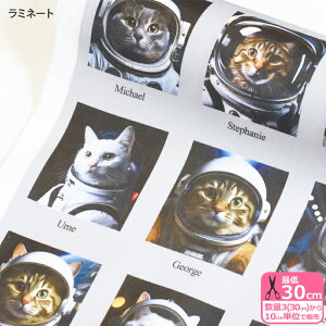 �y�}���\�����̓|�C���g3�{�z���~�l�[�g Space Cat�L�� �L �l�R�� �l�R �ɂ�� �ɂ�񂱕� �F�� �F���� �F����s�m ���~�l�[�g���n �r�j�[���R�[�e�B���O �r�j�R �y���n�E�z�zstl1555 ����3(30cm