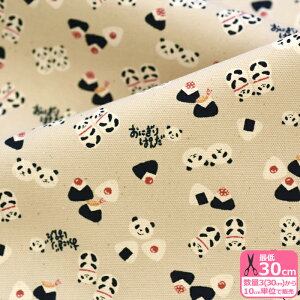 yуvzɂp_iIbNXj p_ p_ ɂ ނ   IbNXnynEzzYKA-39060-1 3(30cm)10cmP