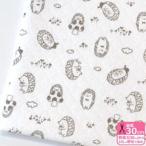 ڌjbgvg nlY~ijbgjnlY~ ͂˂ ͂˂ݕ   ǂԂ ǂԂ Aj} Aj} ̕ Lg ڌjbg jbgn v