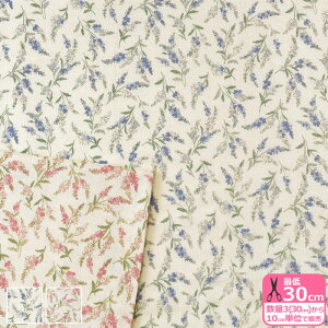 yubNtCf[̓|Cg5{zNostalgia-C Veronii_uK[[jԕ ԕ x_[ N  xr[ xr[pi K[[ _uK[[ WK[[ K[[n vgn ynE