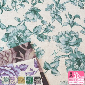 yC[OXӍՂ̓|Cg3{zyneige+(R)RNVz JardiniȖLoXjԕ Ȗ R{n CgLoX LoXn vgn qXj[ ynEzzHSK793 