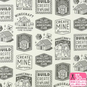 y}\̓|Cg3{zy}CNtgzA GuiIbNXjMinecraft }CN XeB[u N[p[ Ƒ LN^[n IbNXnynEzzMYKJ001 3(30cm)