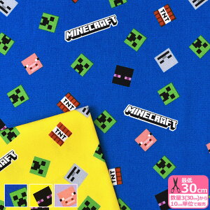 y}\̓|Cg3{zy}CNtgzB ubNiIbNXjMinecraft }CN N[p[ G_[} LN^[n IbNXnynEzzMYKJ002 3(30cm)10cmP
