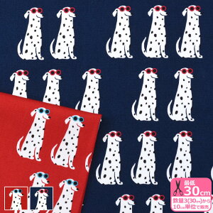 y_tf[̓|Cg10{zTOX DOGiIbNXj  Ck  _VA j[N IbNXn vgn ynEzzNC-99402-3 3(30cm)10cmP