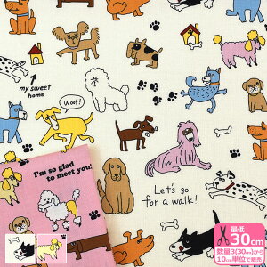 KUSUTTO hbOiV[`Oj  񂿂  _VA v[h _bNXth vgn V[`OnynEzzNN2325H-1 3(30cm)10cmP