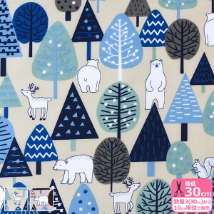 k̐XiiCIbNXjk ǂԂ N} N} X VJ ݃J[ vgn iCIbNX iCn iC ynEzzSG171 3(30cm)10cmP