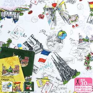 Memories of the tripiV[eBOjCO tX XyC Vb`FX M  V[eBOn vgn YUWA ynEzzYO824961 3(30cm)10cmP